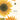 Fashion Sunflowers Slim Diary 2026