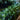 Smart Garden - 200 Solar Strings Cool White String Lights
