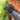 Downpipe Leaf Guard 2pk