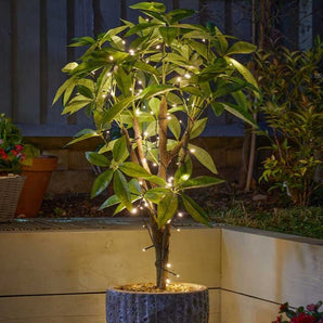 Smart Garden - Solar Strings 100 Warm White LEDs