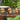 Smart Garden - Baby Hoglet - Mixed Designs