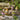 Smart Garden - DecoShrooms - Large