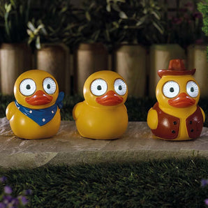 Lucky Ducky (Mixed Display)