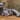 Cat & Kitten Aluminium Garden Ornament Antique Bronze Finish