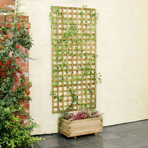 Zest - Country Square Trellis 3ft (Pack of 3)