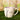 The Funny Farm Mug - "Drama Llama"