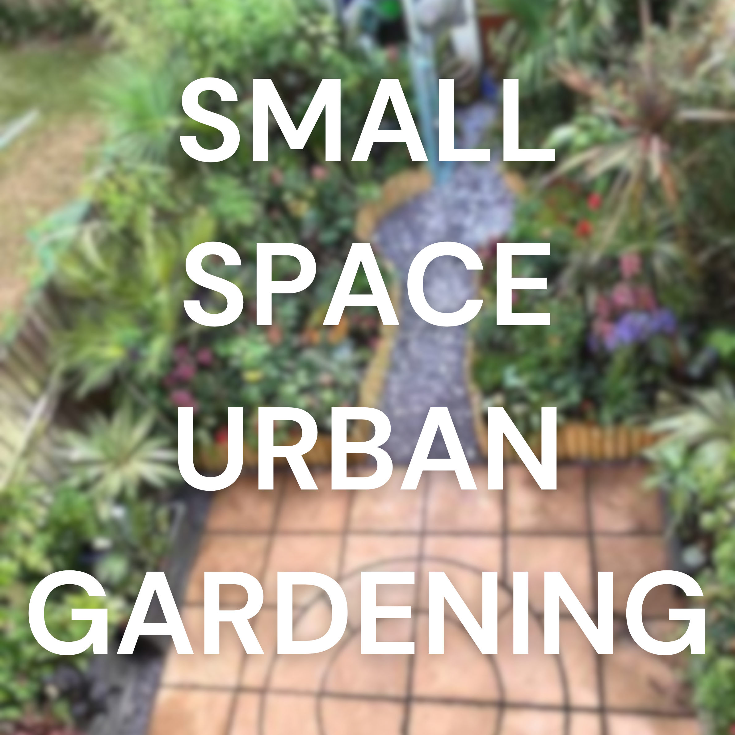 Small Space Urban Gardening