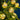 Noma - 10 Iridescent Bauble String Lights
