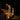 Noma - 200 Duo Bulb String Light With Easy Timer