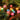 Noma - 80 Multicolour LED Pickwick String Light