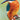 RSPB Birds - Slim Calendar 2026
