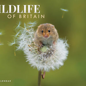 Wildlife of Britain A4 Calendar 2026