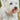 West Highland White Terrier - Slim Calendar 2026