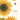Fashion Sunflowers Slim Diary 2026