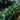 Smart Garden - 200 Solar Strings Cool White String Lights