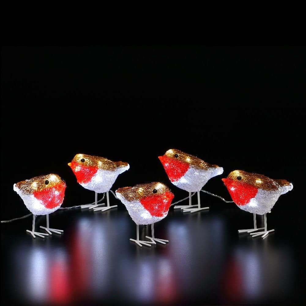 Rebine String Noma - 5 Acrylic Robin String Lights – Plymouth Garden Centre