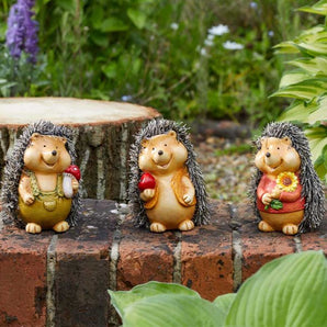 Smart Garden - Baby Hoglet - Mixed Designs