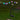 Smart Garden - 8-Stem GloGlobes Multi Coloured Stake Light