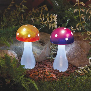 Button Shroom Stake Light (Mixed Display)