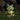 Smart Garden - Blinkin' Frog