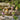 Smart Garden - DecoShrooms - Large