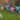 Smart Garden - FabFunghi Loony Stakes