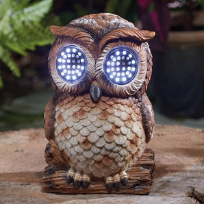 Blinkin' Owl Large