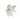 Cream & Champagne Style 4 - Clip