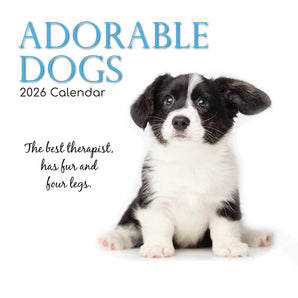 2026 Square Wall Calendar – Adorable Dogs