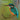 Birds Calendar 2026