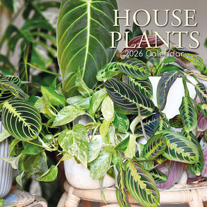2026 Square Wall Calendar – House Plants