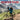 2026 Square Wall Calendar – Mountain Biking