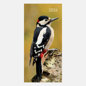 2026 Pocket Diary – Birds