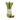 Amuseables Asparagus