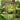 Daria Garden Arch - Adjustable Wooden Arch