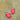Fuchsia Pink Drift Earrings