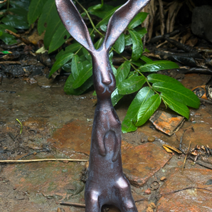 Long Eared Rabbit
