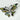 Indulgence - Rhodium Abalone Butterfly Crystal Brooch