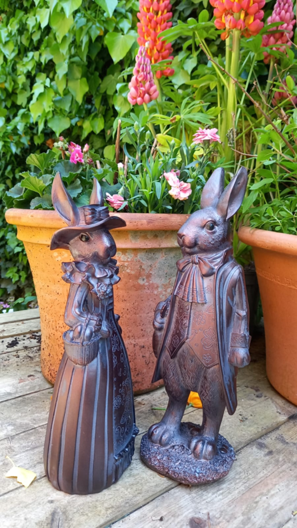 Mr & Mrs Rabbit – Plymouth Garden Centre