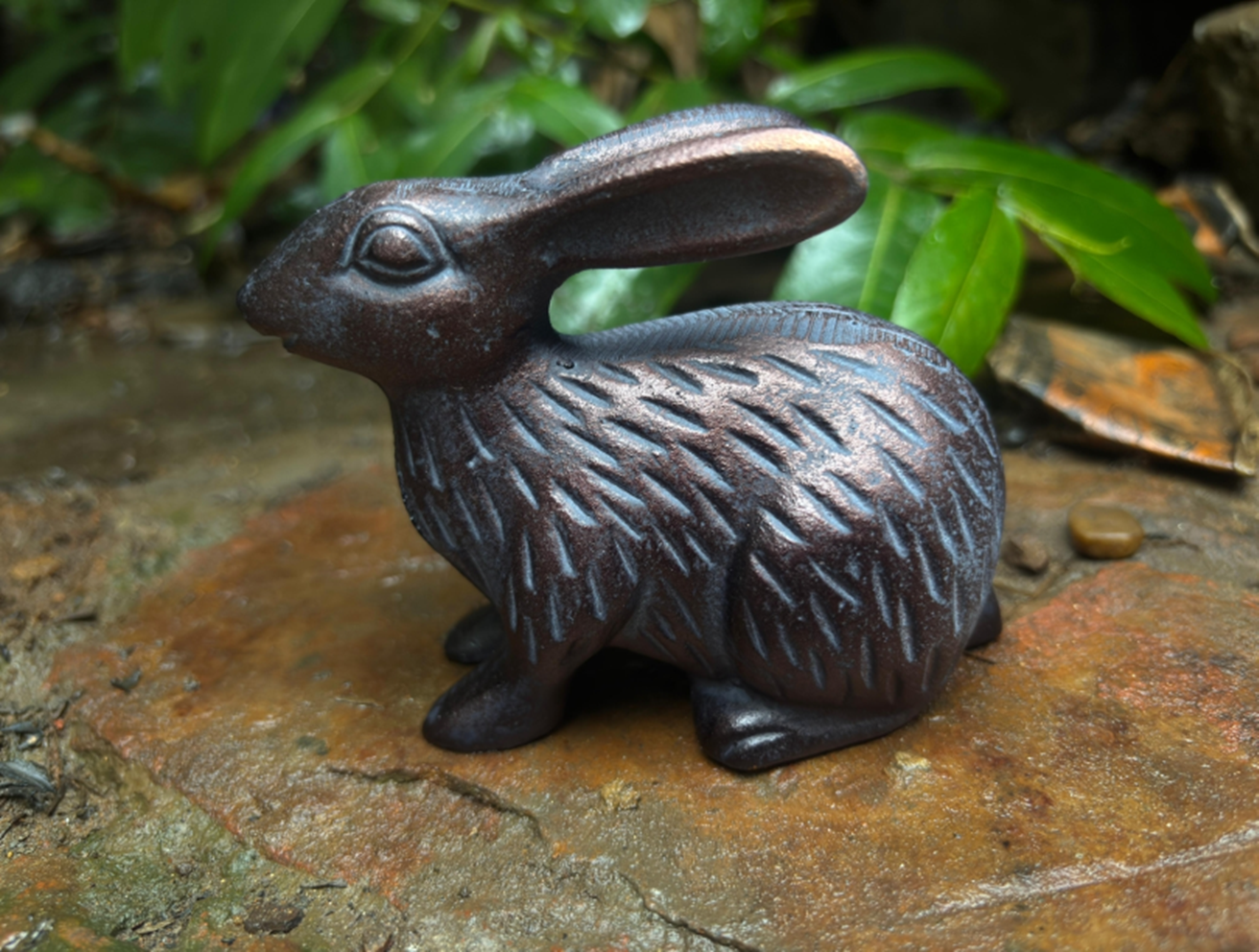 Small Rabbit – Plymouth Garden Centre