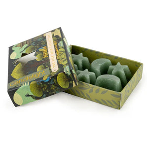 Candlelight - Bukhara Moon & Star Wax Melts