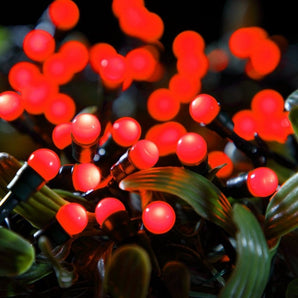 Noma - 50 Fit & Forget Red Multifunction Berry Lights