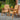 Richmond Companion Seat with Tray Table