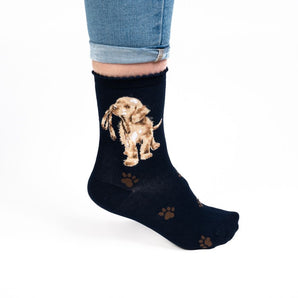 'Hopeful' Labrador Socks